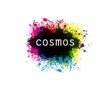 COSMOS – Center on Social Movement Studies